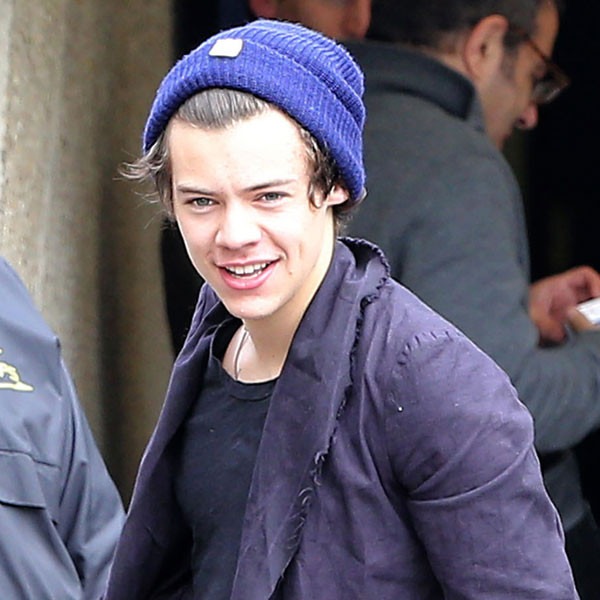 Harry Styles Imposter Arrested